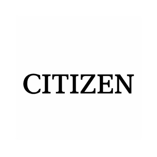 Citizen Citizen