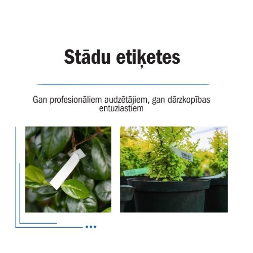 Stādu etiķetes
