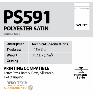 ps591_2 Ps591